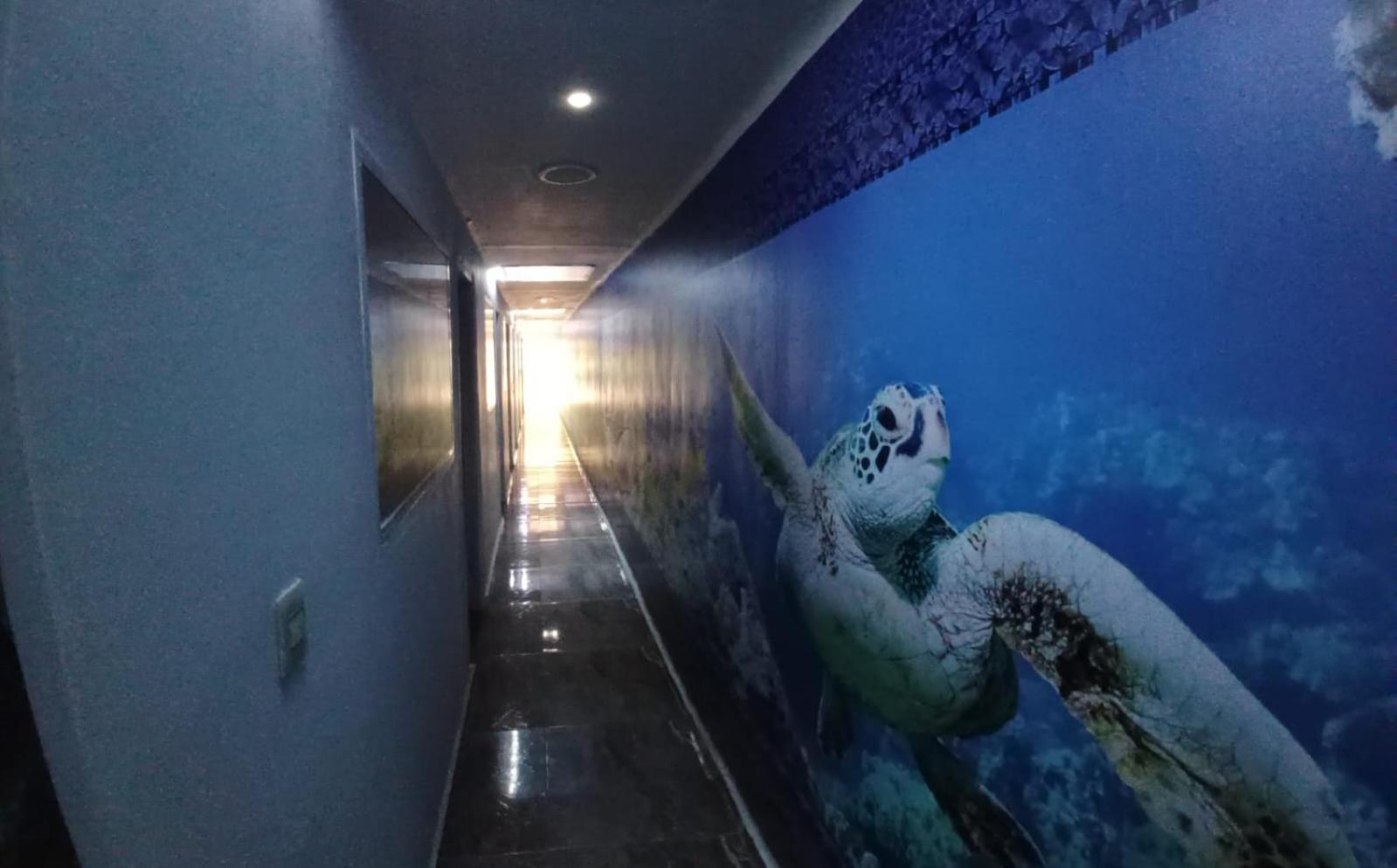 Hotel Dmauro Cartagena Luaran gambar